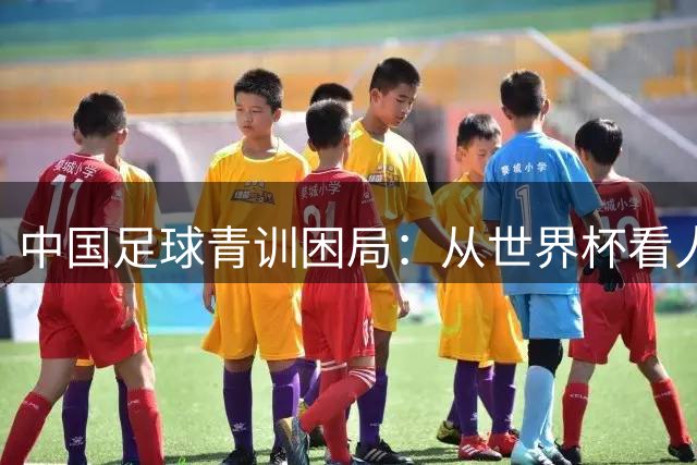中国足球青训困局：从世界杯看人才培养体系缺失