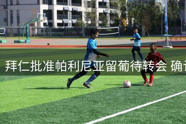 拜仁批准帕利尼亚留葡待转会 确认解约细节