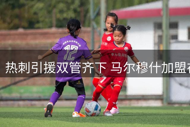 热刺引援双管齐下 马尔穆什加盟在即加克波仍为目标
