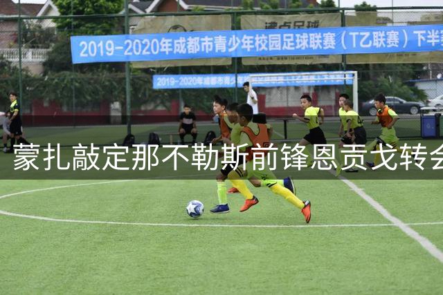 蒙扎敲定那不勒斯前锋恩贡戈转会 周四完成签约