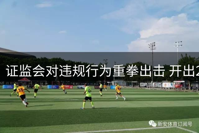 证监会对违规行为重拳出击 开出2.38亿元天价罚单