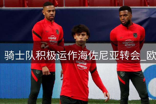 骑士队积极运作海佐尼亚转会 欧洲MVP有望重返NBA赛场